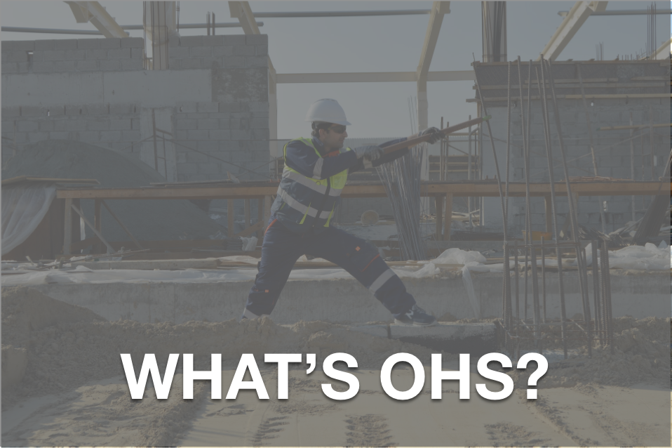 What is Occupational Health and Safety (OHS)? What is Occupational Health and Safety (OHS)?